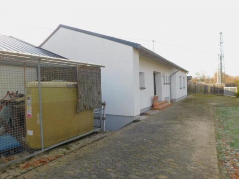 Piesport Piesport Schäferhof - wo Fuchs und Hase Ihnen gute Nacht sagen - EFHs. zur Miete Haus 