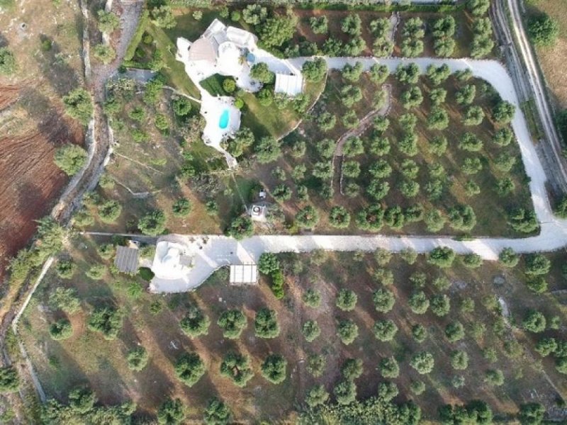 Stuttgart Ferienhaus - Italien-Apulien-Ostuni... wunderschöne Ferienhäuser auf einer Olivenplantage Haus