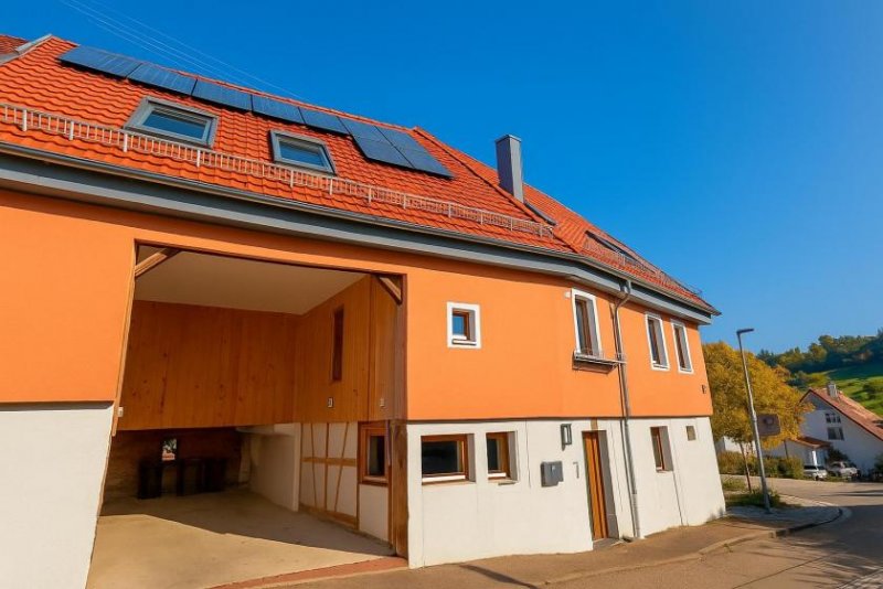Heimsheim Farm & Barn Heimsheim - Black Forest Gate - Bauernhaus mit ausgebauter Scheune Haus