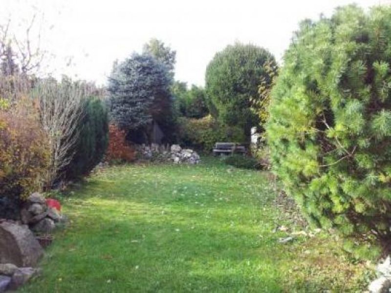 München PROVISIONSFREI - Sonniges Reihenmittelhaus in Obermenzing mit schönem Garten (Westlage) Haus