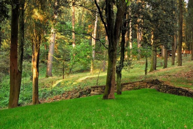 ANTRIA Italia Toscana Arezzo Haus