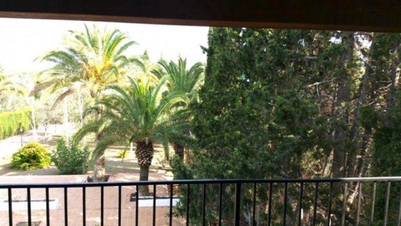 Cala Bona Chalet in Cala Bona Haus 