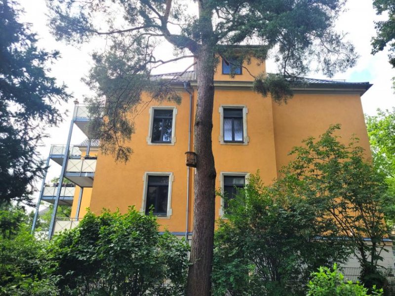 Dresden 3124 - Dresden-Villenviertel: Jugendstilvilla im TOP-Zustand Gewerbe kaufen