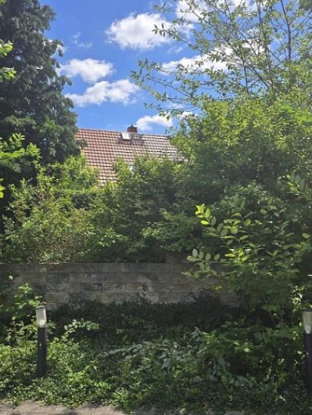 Dresden Dresden... ein wirklich anheimelndes Refugium in Bestlage Haus kaufen