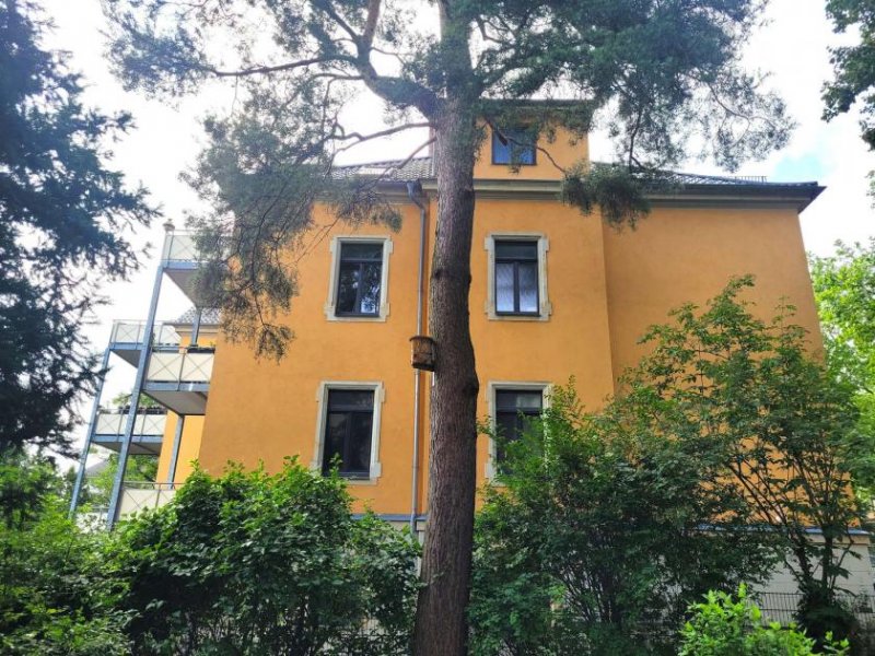 Dresden Dresden-Villenviertel: Jugendstilvilla im TOP-Zustand Gewerbe kaufen