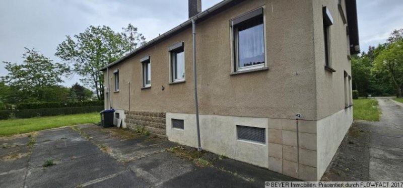 Langebrück Entwicklungspotenzial im Grünen – Großes Grundstück mit Einfamilienhaus Haus kaufen