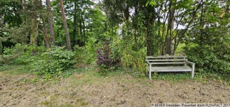 Langebrück Entwicklungspotenzial im Grünen – Großes Grundstück mit Einfamilienhaus zwischen Langebrück & Klotzsche Haus kaufen