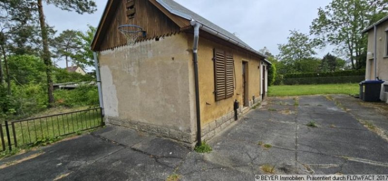 Langebrück Großes Grundstück mit Bestandshaus – ideal für Bebauung oder Teilung Haus kaufen