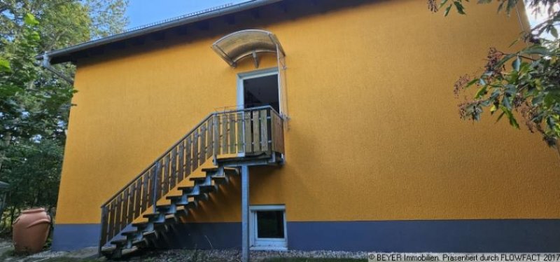 Langebrück Mehrfamilienhaus mit großem Grundstück – als Kapitalanlage oder Mehrgenerationenwohnen Haus kaufen