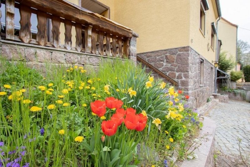 Diera-Zehren Diera-Zehren... EFH - Einfamilienhaus mit ELW & ganz viel Platz für Ihre Familie in ruhiger Lage Haus kaufen