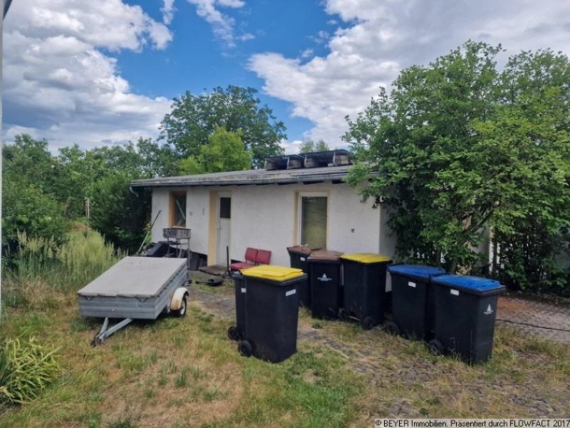 Lauchhammer Platz für Ideen - Doppelhaushälfte mit Charakter und Ausbauoption Haus kaufen