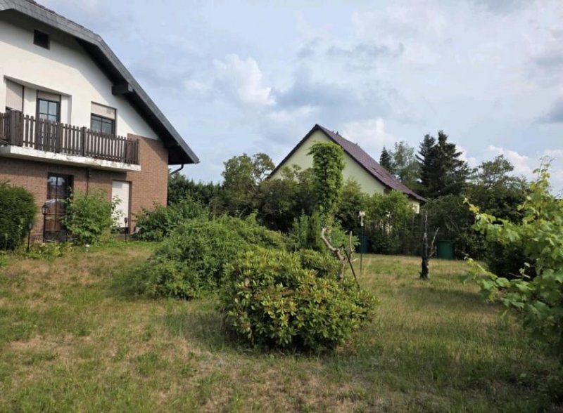 Großräschen Seestadt Großräschen Traumvilla, Perfektion pur Haus kaufen