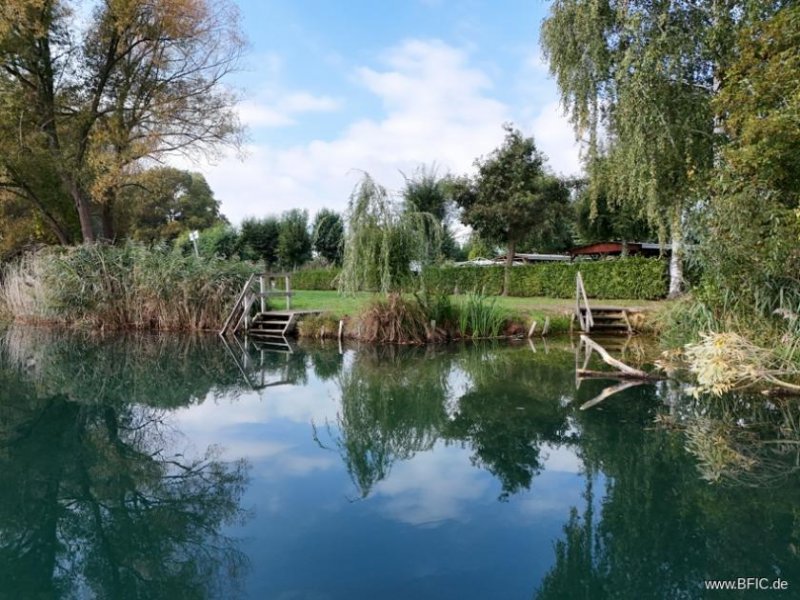 Malschwitz Idyllischer Campingplatz in Sachsen am Olbasee - Kleinod mit großem, kernsaniertem Resthof Gewerbe kaufen