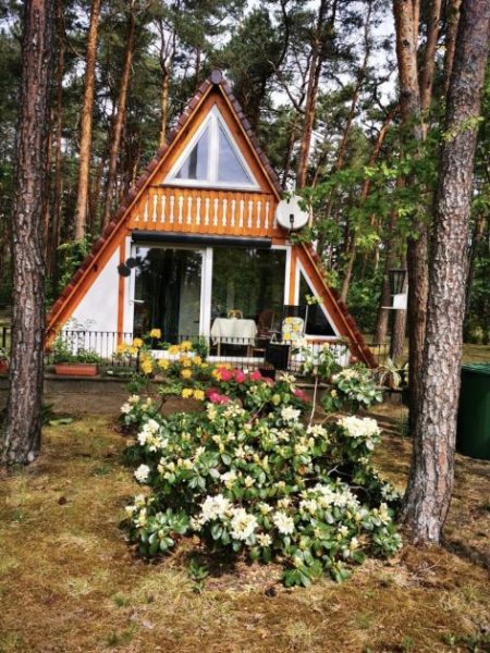 Lohsa Schöne Finnhütte am Silbersee in Lohsa Haus kaufen
