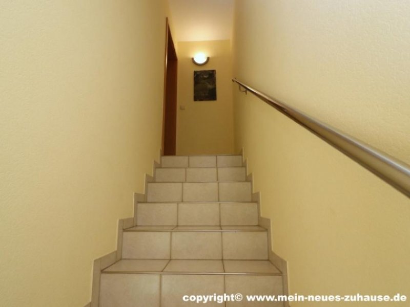 Cottbus Einfamilienhaus mit Einliegerwohnung in ruhiger Lage - Eigennutzung mit Vermietungspotential! Haus kaufen