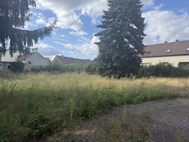 Drebkau Einfamiienhaus mit Einliegerwohnung bei Cottbus mit grossem Grundstück frisch Renoviert Haus kaufen
