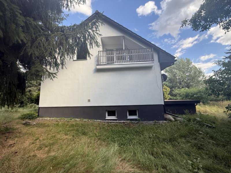 Drebkau Einfamiienhaus mit Einliegerwohnung bei Cottbus mit grossem Grundstück frisch Renoviert Haus kaufen