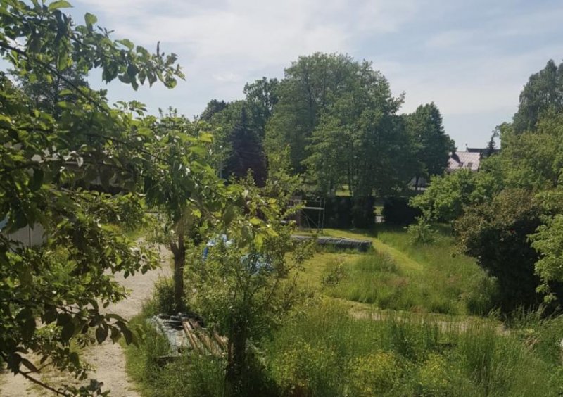 Felixsee Historischer Tanzsaal, ca. 410 m² Wohnfläche – außergewöhnliche Immobilie mit vielseitigem Potenzial Haus kaufen