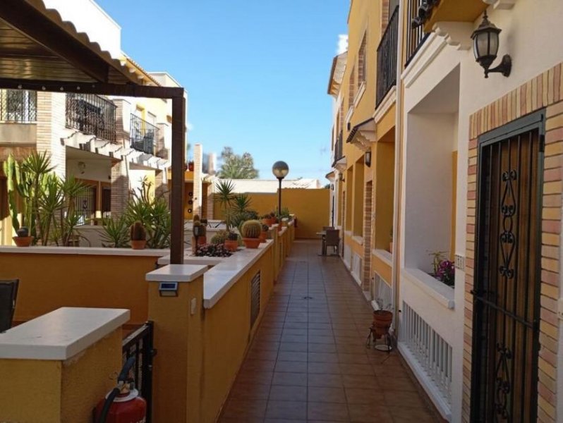 Catral Reihenhaus mit 2 Schlafzimmern, 1 Bad, Gäste-WC, Dachterrasse und Gemeinschaftspool Haus kaufen
