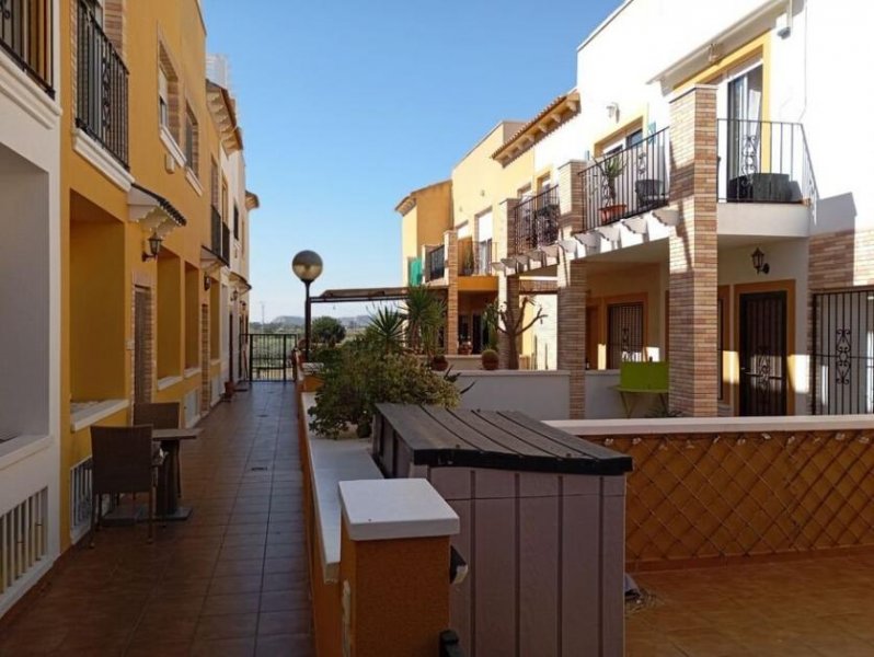 Catral Reihenhaus mit 2 Schlafzimmern, 1 Bad, Gäste-WC, Dachterrasse und Gemeinschaftspool Haus kaufen