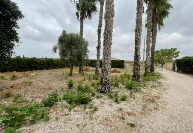 Daya Vieja Schön gelegene Villa mit 3 Schlafzimmern und 2 Bädern am Ortsrand von Daya Vieja Haus kaufen