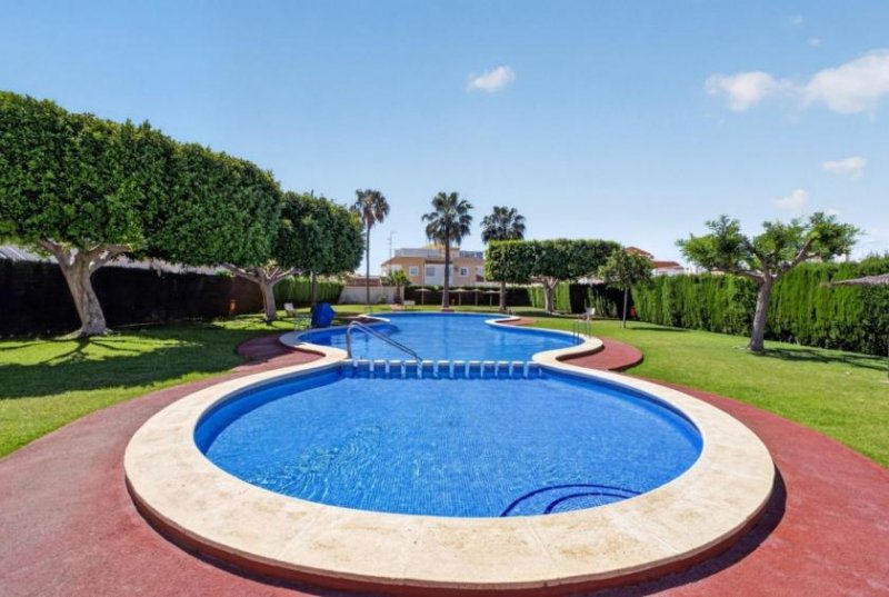 Torrevieja Erdgeschosswohnung mit Terrasse, Innenhof und Gemeinschaftspool Wohnung kaufen