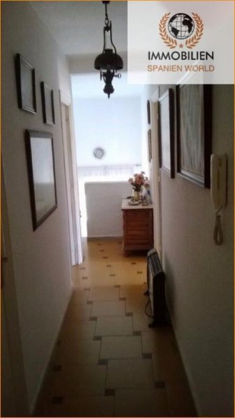 Torrevieja Chalet in Torrevieja-Los Balcones Haus kaufen