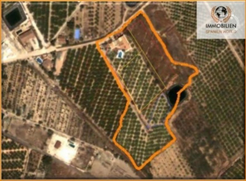 Los Montesinos Grundstück in Los Montesinos- Alicante Grundstück kaufen