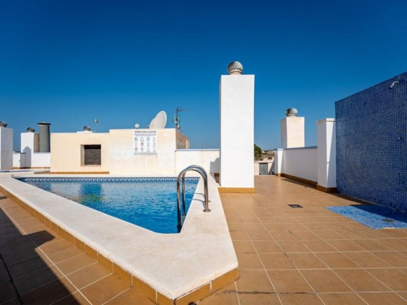 Los Montesinos Preiswertes Apartment im Wiederverkauf - mit Schwimmbad Wohnung kaufen