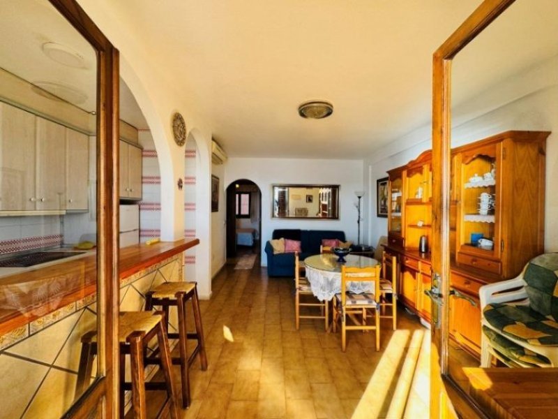 La Mata Appartement mit 2 Schlafzimmern, 1 Bad und Tiefgaragenstellplatz direkt am Strand von La Mata Wohnung kaufen