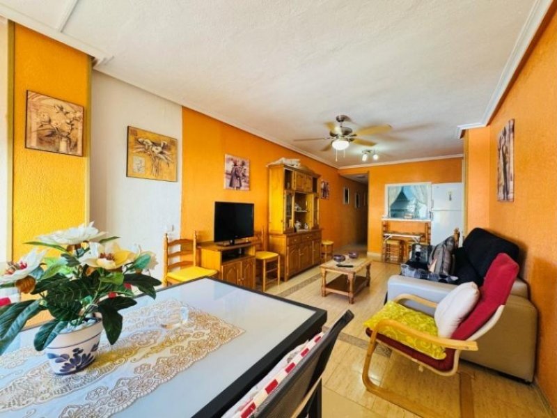 La Mata Appartement mit 2 Schlafzimmern und 1 Bad im Zentrum von La Mata nur 100 m vom Strand entfernt Wohnung kaufen