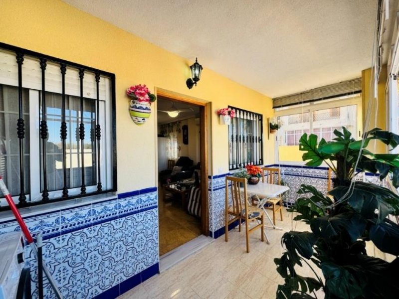 La Mata Erdgeschoss-Wohnung mit 2 Schlafzimmern, 1 Bad, Privatpool und großer Terrasse nur 600 m vom Strand Wohnung kaufen