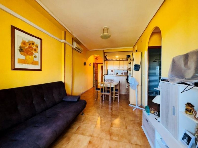 La Mata Wohnung mit 1 Schlafzimmer, 1 Bad, Gemeinschaftsdachterrasse und Gemeinschaftspool nur 200 m von Strand Wohnung kaufen