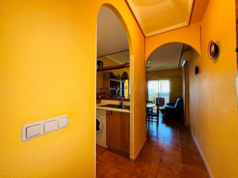 La Mata Wohnung mit 1 Schlafzimmer, 1 Bad, Gemeinschaftsdachterrasse und Gemeinschaftspool nur 200 m von Strand Wohnung kaufen