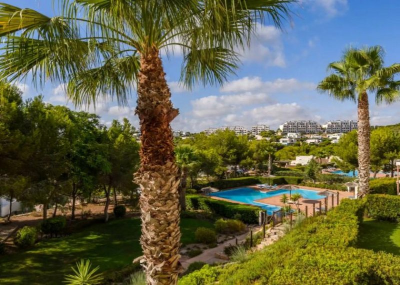 Dehesa de Campoamor Schöne Wohnung in las Colinas Golf und Countryclub Wohnung kaufen