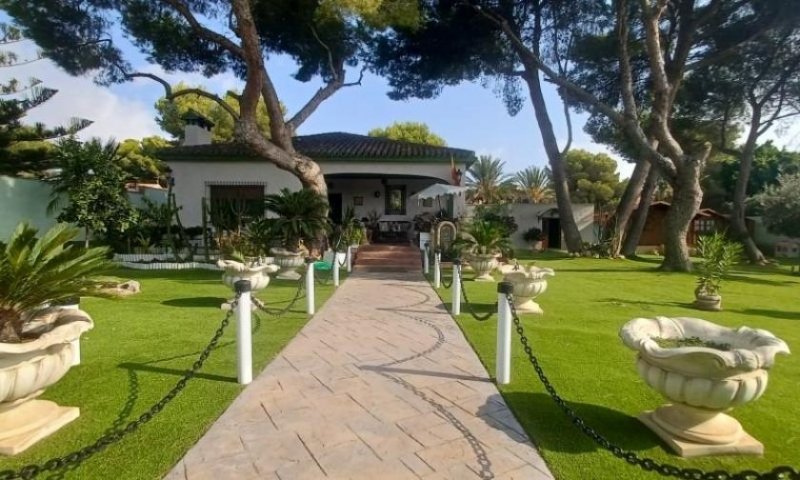 Orihuela Costa Spektakuläre Villa im mediterranen Stil mit 3 Schlafzimmern, 3 Bädern und Privatpool in Dehesa de Campoamor nur 950 m vom Haus