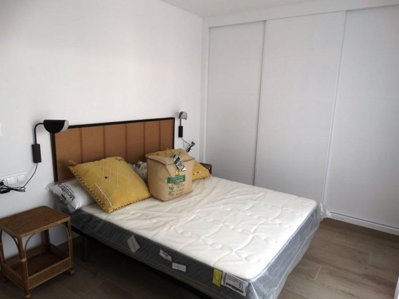 Pilar de la Horadada Wunderschöne Doppelhaushälften mit 3 Schlafzimmern, 3 Bädern, Dachterrasse, Kfz-Stellplatz und Privatpool Haus kaufen