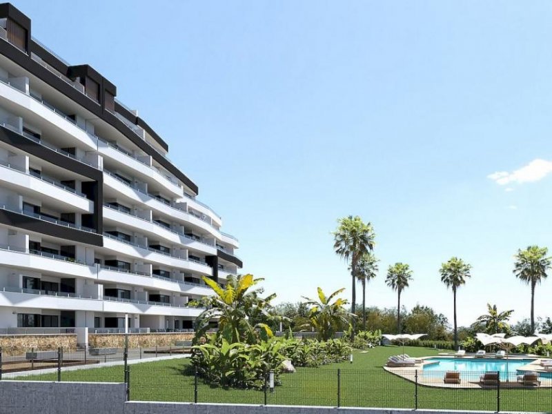 San Miguel de Salinas Tolle Neubau-Anlage - moderne Apartments - Möblierung inklusive Wohnung kaufen