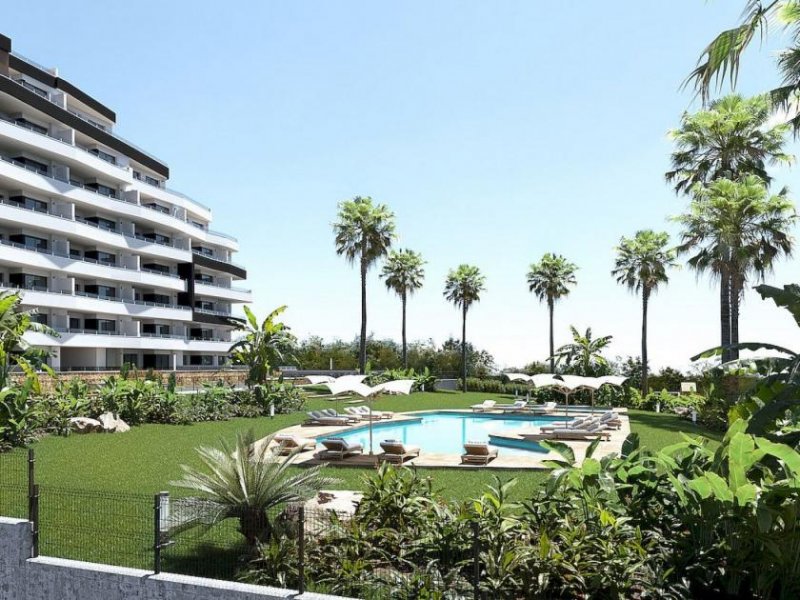 San Miguel de Salinas Tolle Neubau-Anlage - moderne Apartments - Möblierung inklusive Wohnung kaufen