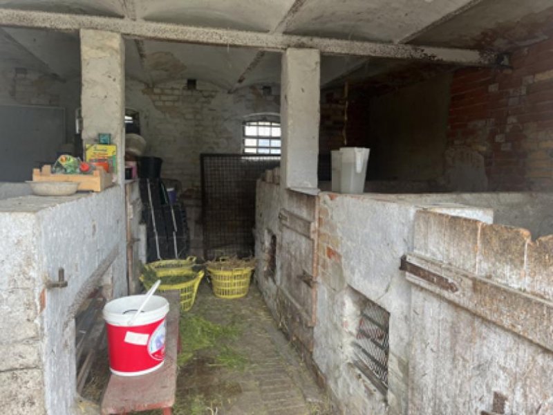 Finsterwalde Bauernhof mit landwirtschaftlicher Fläche Gewerbe kaufen