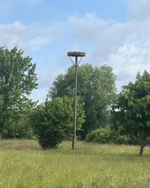 Finsterwalde Ehemaliger Bauernhof Haus kaufen
