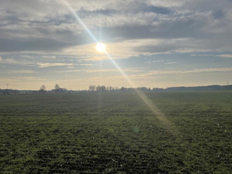 Doberlug-Kirchhain Einfamilienhaus in Alleinlage Haus kaufen