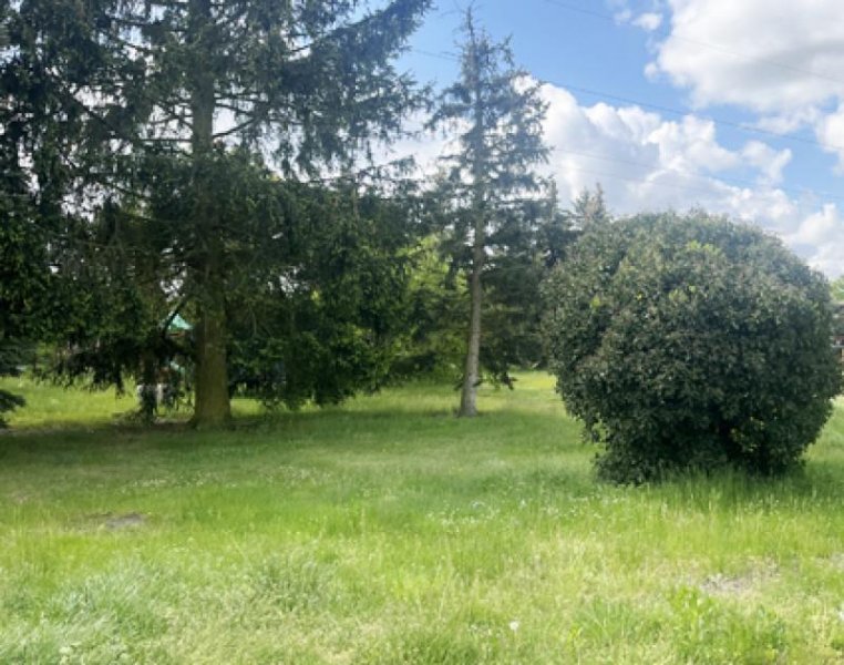 Tröbitz Einfamilienhaus - Bezugsfrei Haus kaufen