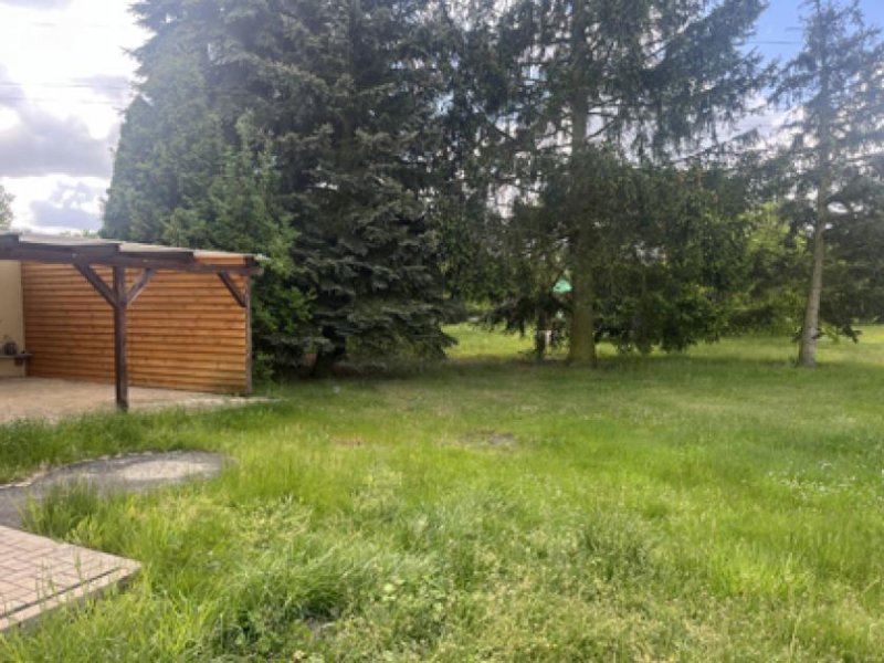 Tröbitz Viel Platz zum fairen Preis Haus kaufen