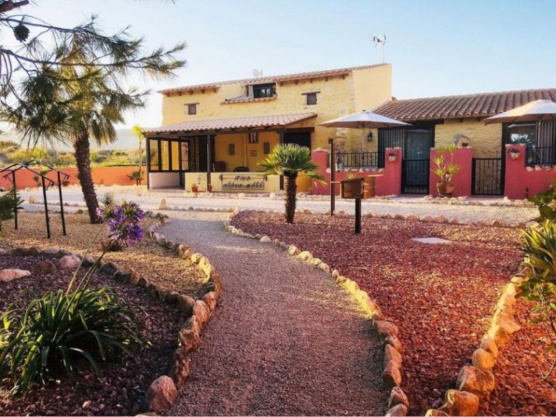 La Murada Erfolgreiches Urlaubsgeschäft und Zuhause. Das Haupthaus ist eine alte Olivenmühle, die in den letzten 17 Jahren von den