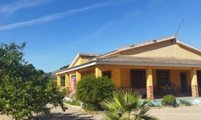 Aspelhorn Landhaus-Villa mit 4 Schlafzimmern und 2 Bädern auf sehr großem Grundstück Haus kaufen