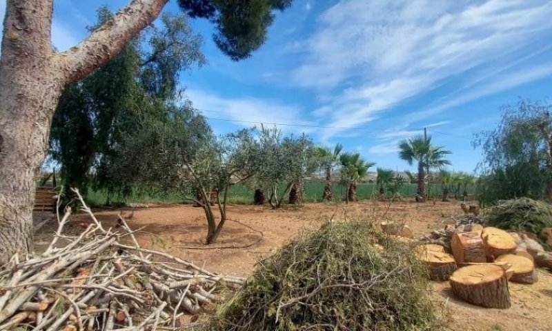 Hondón De Las Nieves Landhaus-Villa mit 3 Schlafzimmern, 2 Bädern, Privatpool und schönem Ausblick Haus kaufen