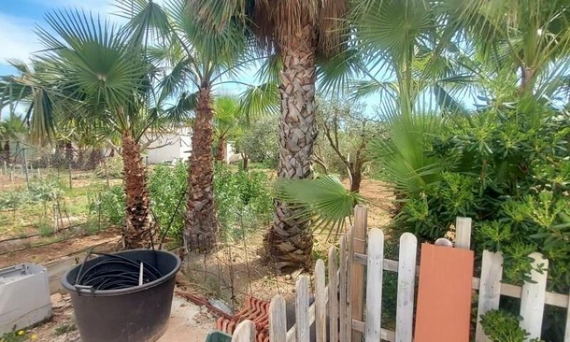 Hondón De Las Nieves Landhaus-Villa mit 3 Schlafzimmern, 2 Bädern, Privatpool und schönem Ausblick Haus kaufen