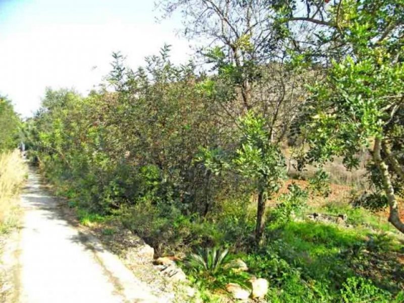 Denia Grundstücke zum verkauf Denia Grundstück kaufen