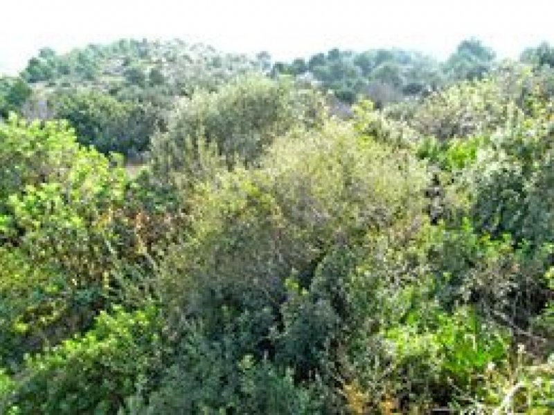 Denia Grundstücke zum verkauf Denia Grundstück kaufen